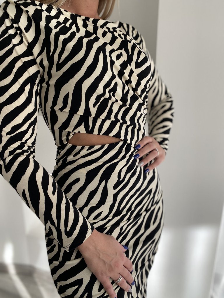 JESSICA ruha zebra 